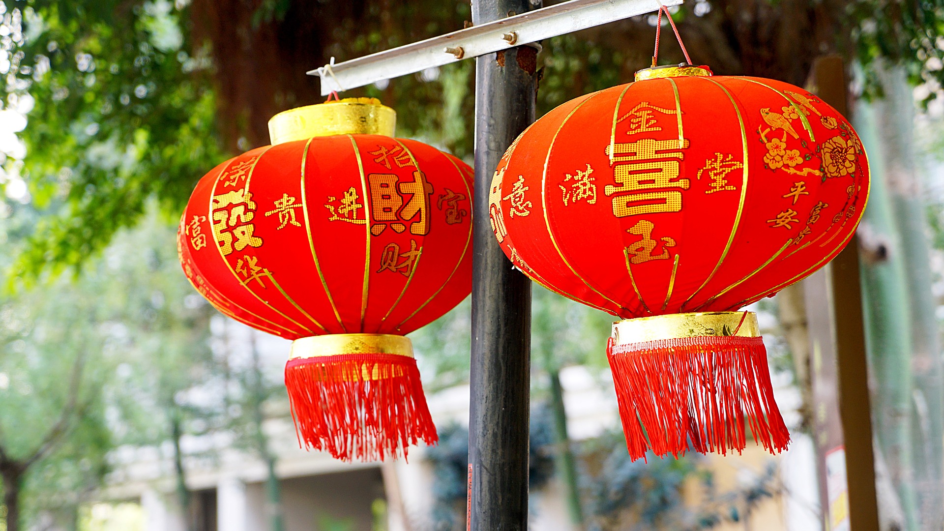 The  Dates for the Chinese New Year Have Been Confirmed – The Year of the Dog