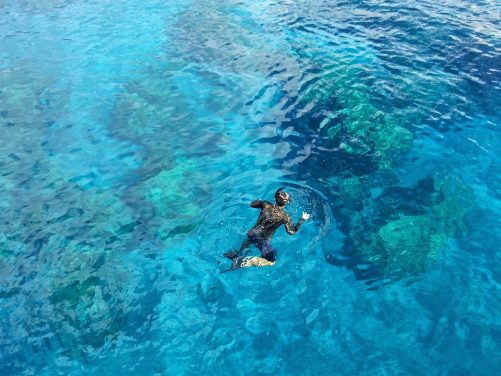 Have a safe snorkelling experience in the Maldives –  Exploring the World’s Best Ocean Garden