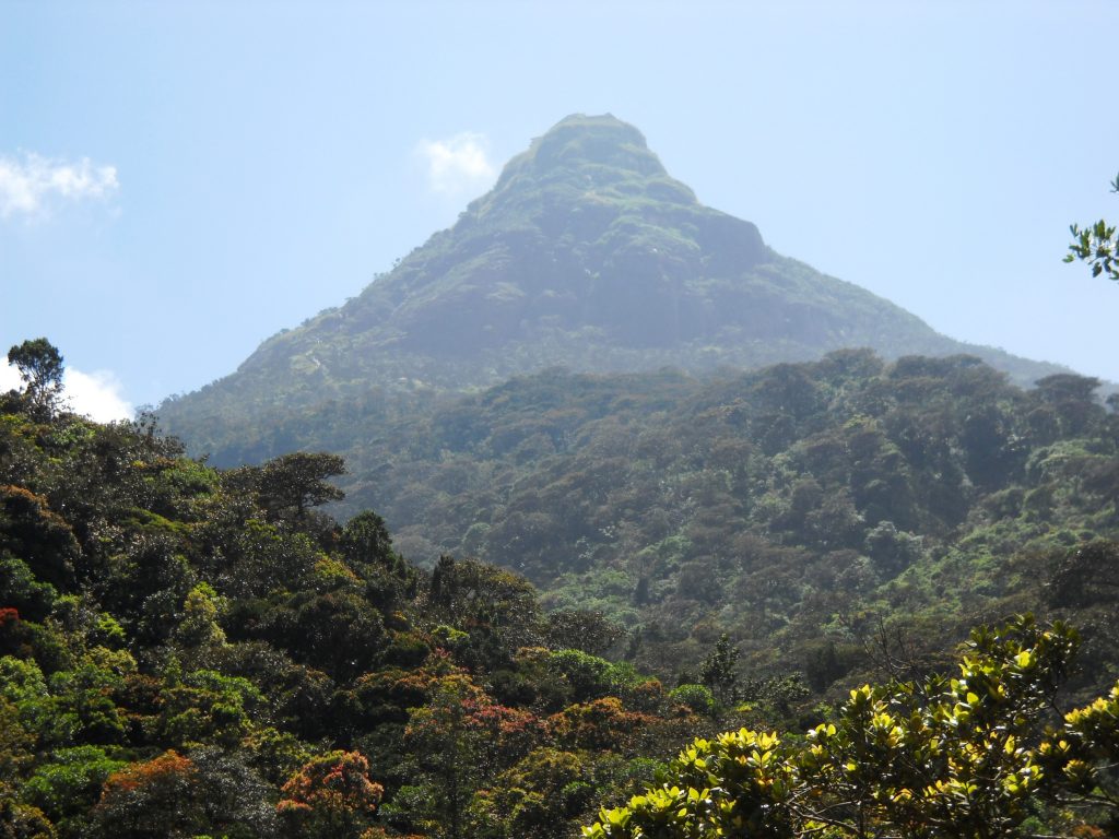 Samanala kanda (Adams peak)