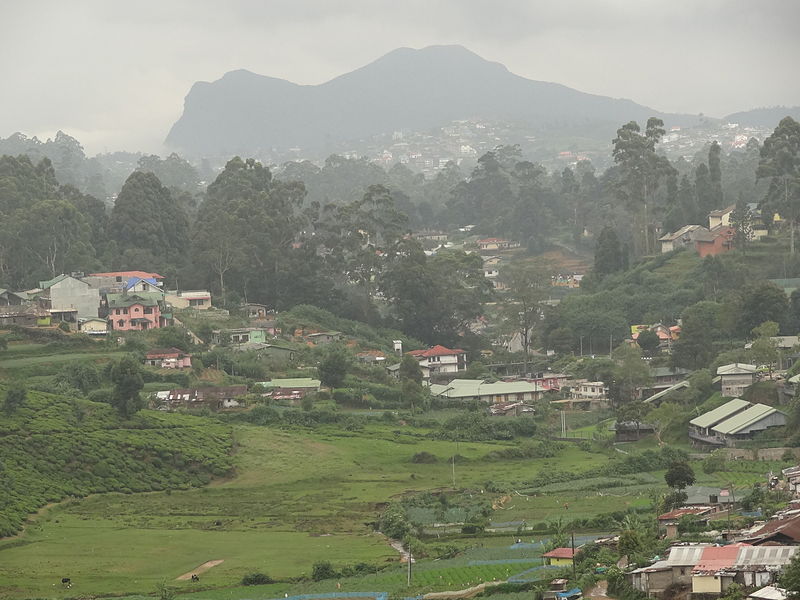 Nuwara Eliya Season begins with plenty of happenings – The festive season in Sri Lanka