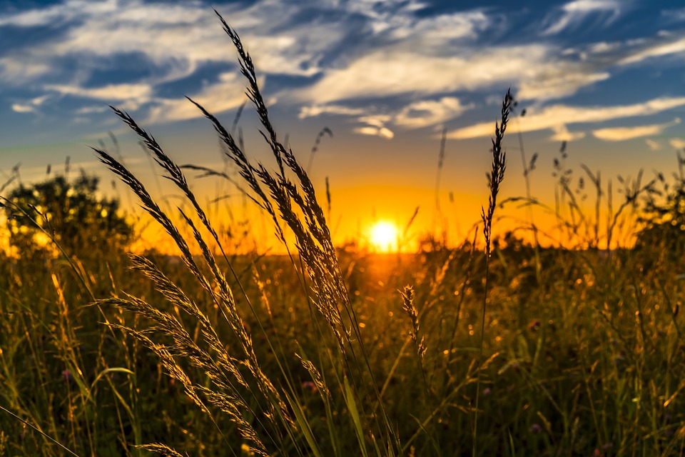 Sri Lanka to be named among globally important agricultural heritage sites – An iconic move forward