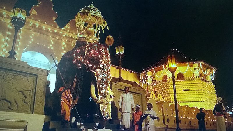 Esala Perehara in Kandy – One of the Most Majestic Processions in South East Asia!