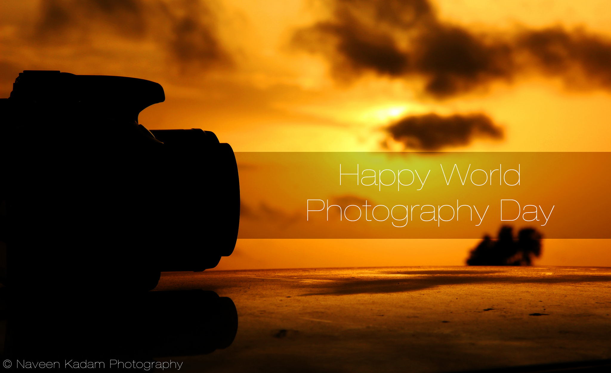 Celebrate World Photography Day in Doha at Photo Walk – Capturing Perfect Moments