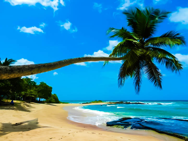 The rise in Sri Lankan tourism – Reaching tourism goals step by step