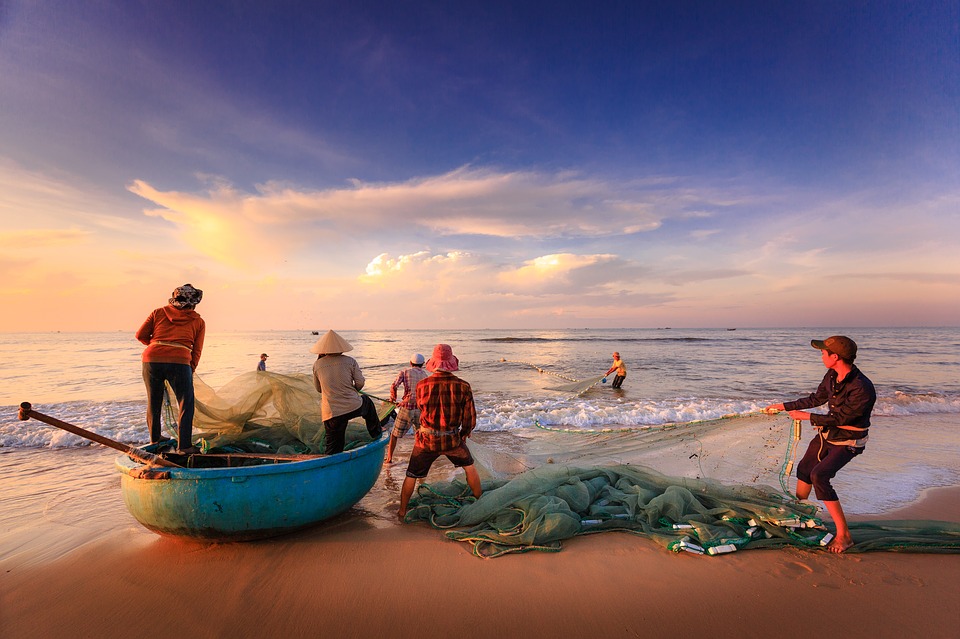 The Maldives set an example of sustainable seafood value chains – taking measure to reduce the effects of overfishing
