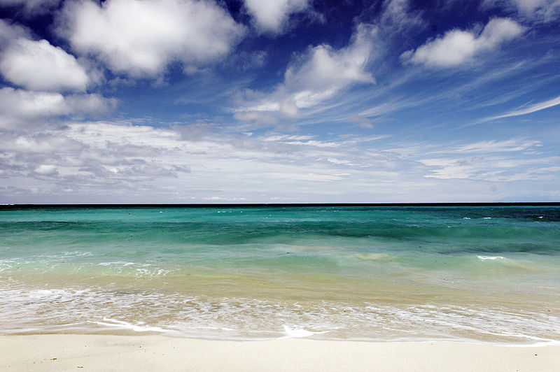 Keeping Bali Beaches Clean: UNWTO – Initiatives for a plastic free world!