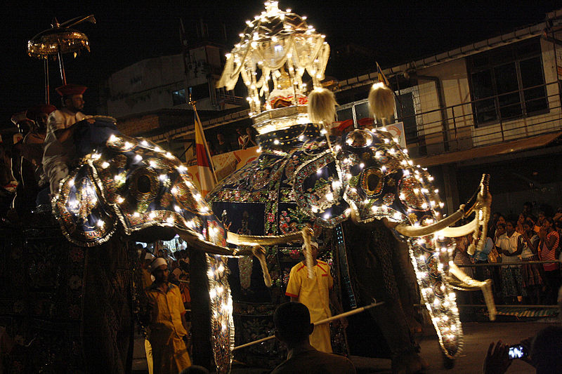 The Mesmerizing Esala Perahera in Kandy – Colours, Lights, and Beats!
