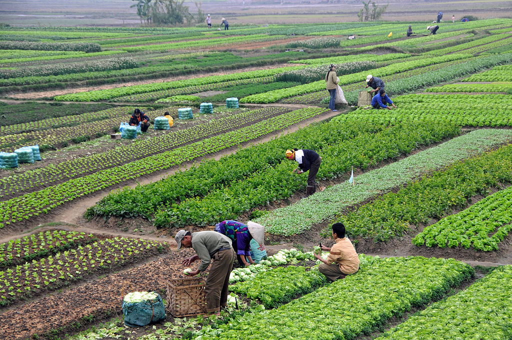 International Conference on Agriculture and Biotechnology – Making a greener world