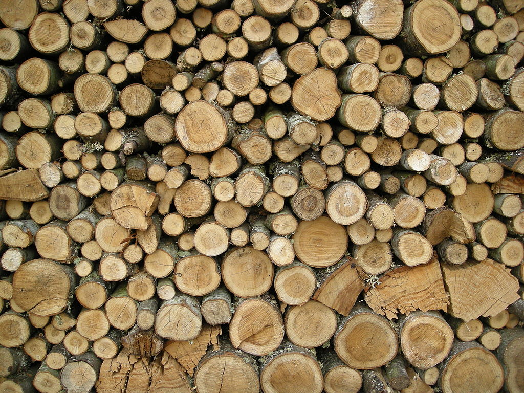 Sri Lanka Wood Expo 2018 – For all your timber needs