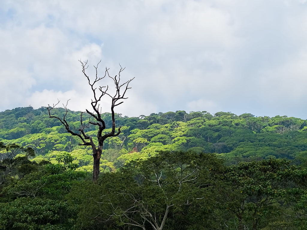 Sri Lanka submits several proposals to UN Environment Assembly