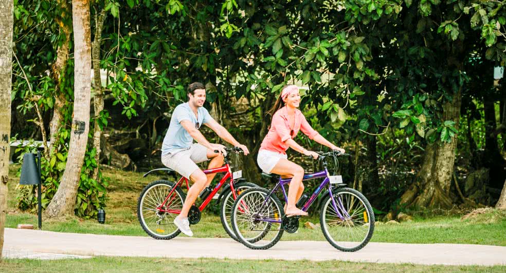 Sri Lanka Tourism Earnings Grew 11.6% in 2018 – Positive Signs for 2019