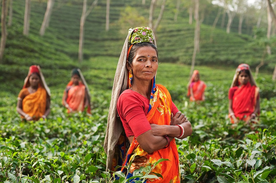 Sri Lanka Launches Global Tea Promotional Campaign in Russia – Showcasing Ceylon Tea