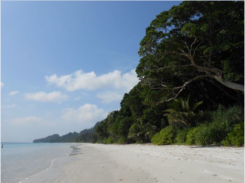 Thailand and India Dominate Top 25 Beach Destinations in Asia List by TripAdvisor
