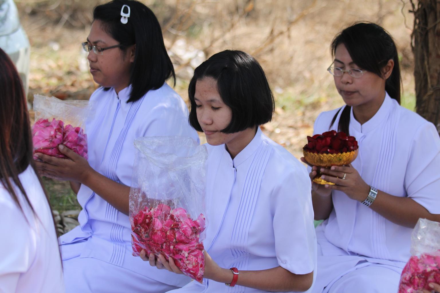 Vesak Celebrations in Chiang Rai – An Important Public Holiday in Thailand