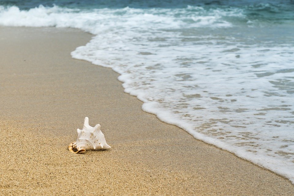40 More Beaches in Seychelles Being Considered for White Flag Certification, a Symbol of Clean Seas