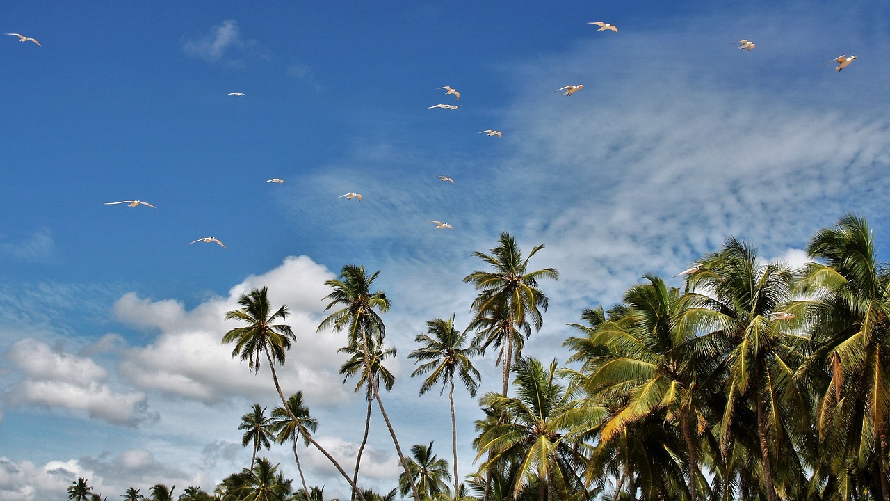 Sri Lanka Tourism invests over Rs. 1 bn for infrastructure