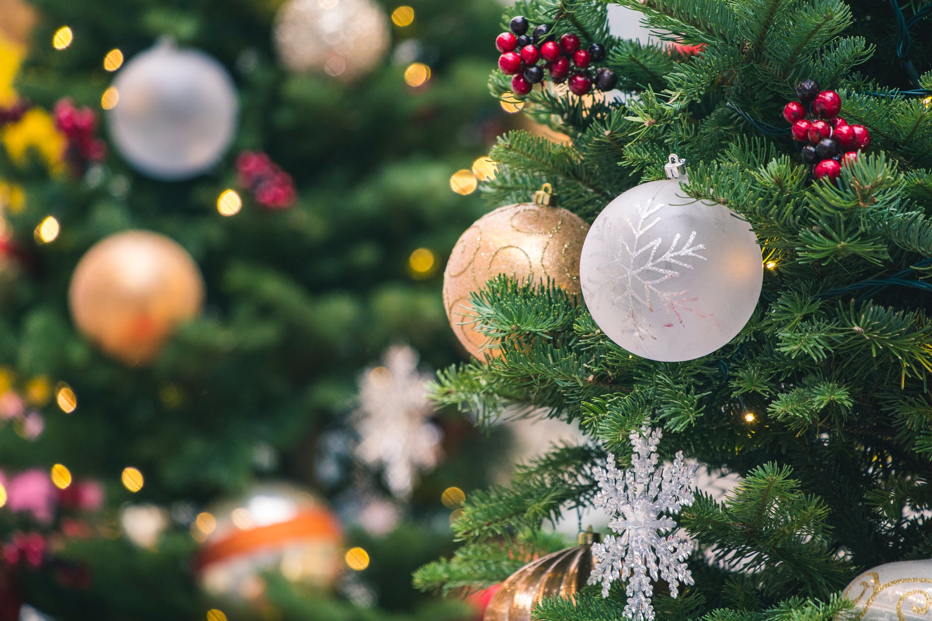 Christmas Celebrations Light Up Orchard Road