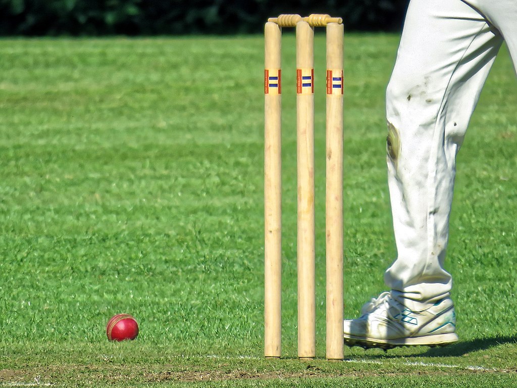 2020 Auckland Backyard Cricket Championships