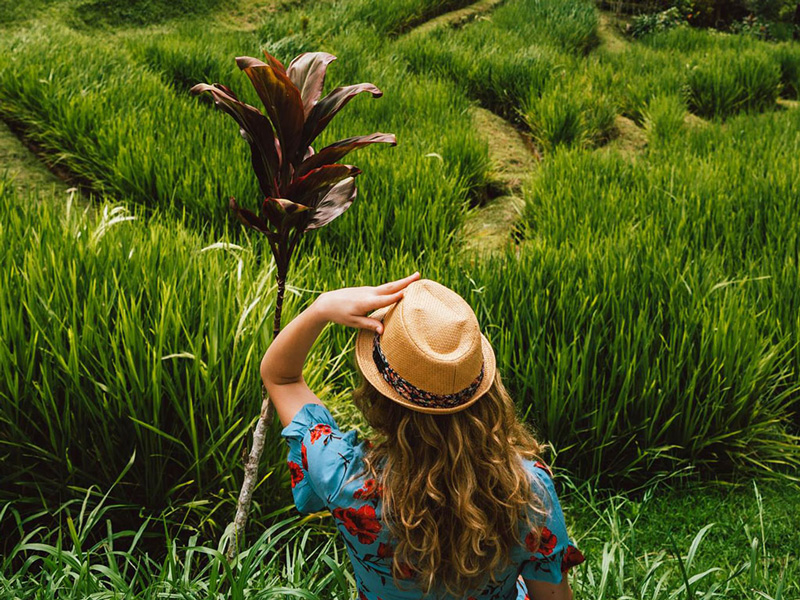 Indonesia’s foreign tourist arrivals drift up in 2019