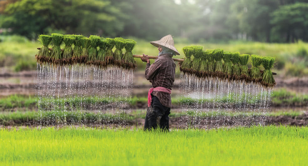 Golden Triangle in northern Thailand opening up to tourists