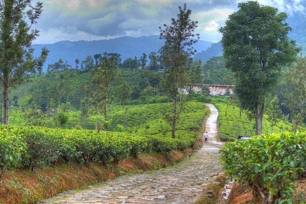 20 best places to visit in 2020–Sri Lanka is the Place to Be