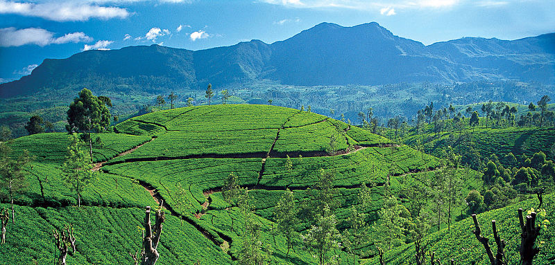 Sri Lanka participates in SATTE2020