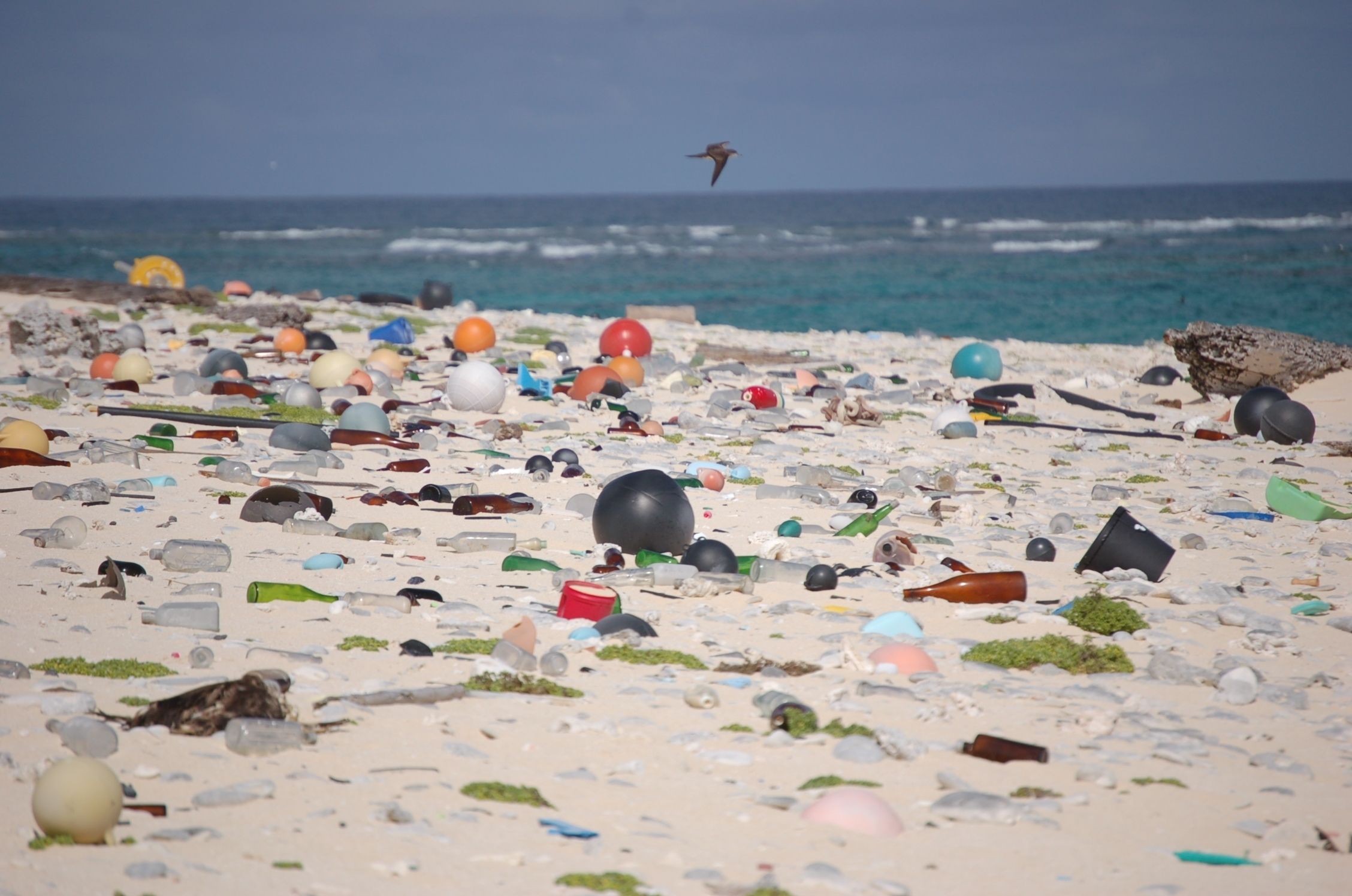 Zero Plastic Run 2020