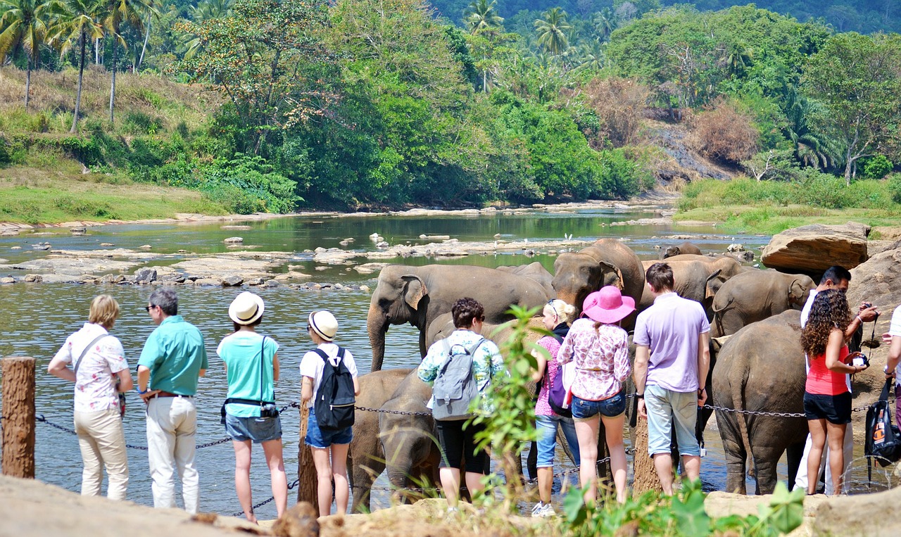 Sri Lanka Eyes Increase in High Spending Tourists from India