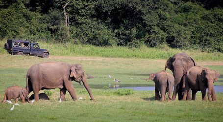 What’s New and Upcoming in Sri Lanka Tourism for 2020 – Rising Opportunities