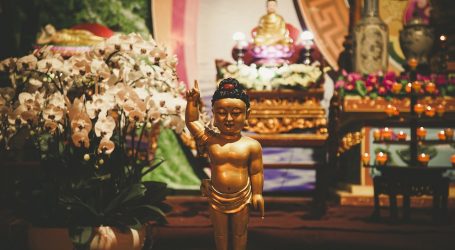 Vesak Festival 2020 – The main Buddhist festival in Sri Lanka