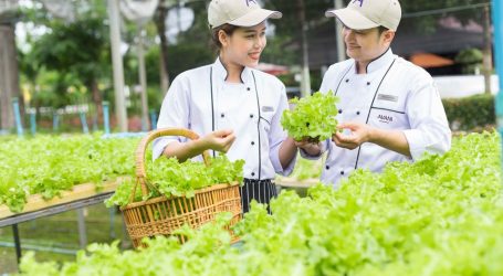 Avani Pattaya Resort Shares DIY Home Farming Tips – A Healthy & Safe Option