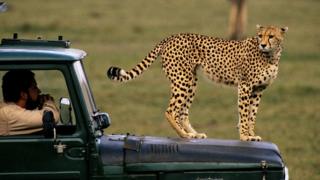 Namibia Opened for Tourists