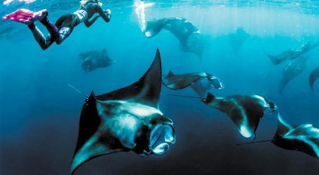 Cathay pacific lists The Nautilus Maldives as one of the best resorts to travel post-COVID-19