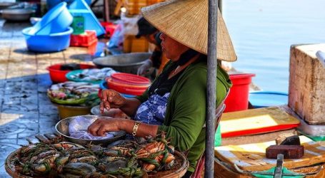 Tan Thanh Fishing Village Market Opened in Hoi An