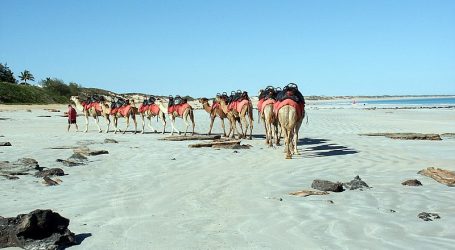 Broome Sees Surge in Popularity