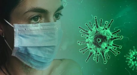 Coronavirus (COVID-19) domestic travel restrictions and remote area access
