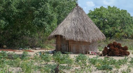 Mozambique: More than a Tropical Paradise