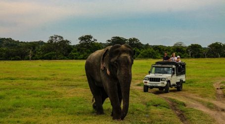 Sri Lanka wins the title of ‘Asia’s Leading Adventure Tourism Destination’ at the World Travel Awards 2020 – the best of Ceylon