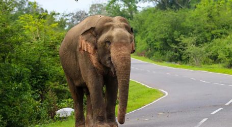 Sri Lanka Added to UK’s Travel Corridor List