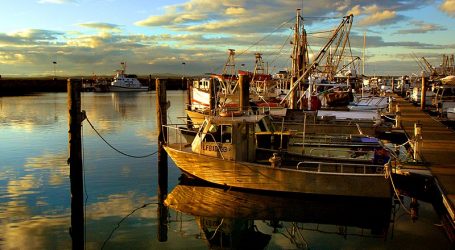 NSW & Port Stephens Prepare for Holiday Arrivals