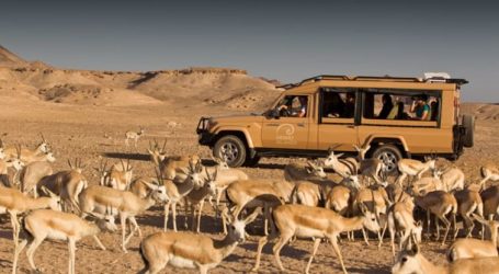 Get Ready for the Ultimate Springtime Vacation in Abu Dhabi