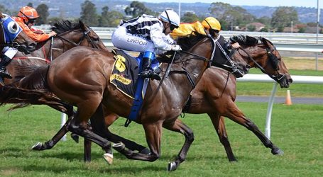 Adelaide Cup 2021 – Not just a sporting event!