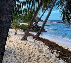 Welcome Stamp: 1-year work visa from Barbados – Embracing the change!