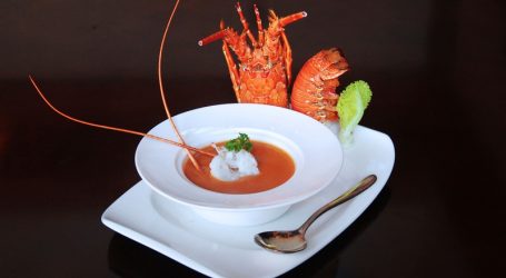 Culinary Art Food Expo 2021 – Where chef experts show their best talents