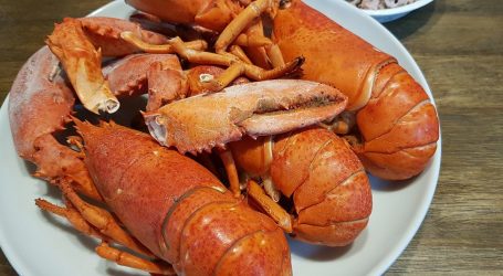 Flavours by the Sea Held at The Entrance – A Celebration of Diversity