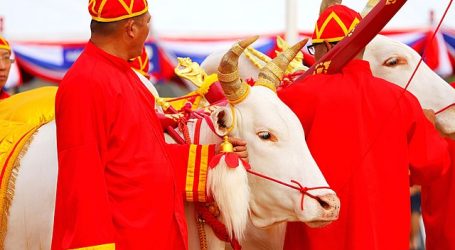 Royal Ploughing Ceremony in Thailand – An Event of Blessing