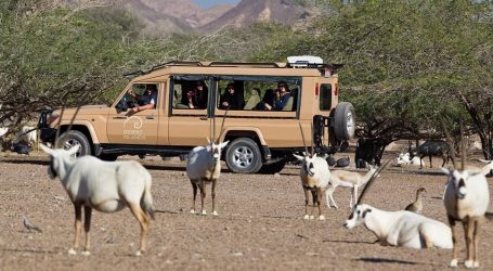 Time Out Reveals Islands to Visit for National Day Weekend – Sir Bani Yas Island One of the Highlights