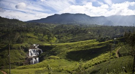 Fairweather prevails over Nuwara Eliya for tourists – Everything’s perfect for a blissful holiday