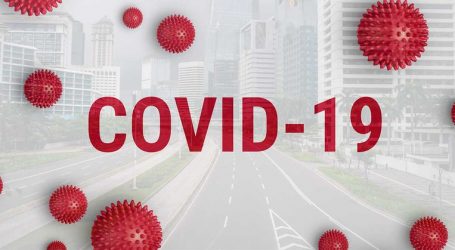 WHO Software Helps Maldives in Tracing COVID-19 Patients & Their Contacts- Go.Data for the improvement of the island