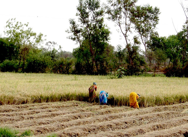 Agriculture